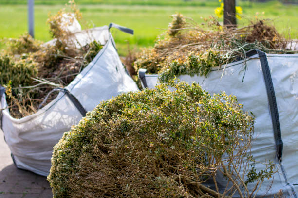 Best Electronics and E-Waste Disposal  in South Miami, FL